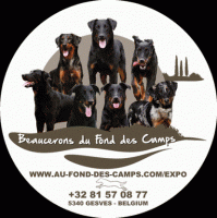 Beaucerons du Fond des Camps 