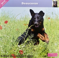 François NICAISE - Les calendriers Beaucerons